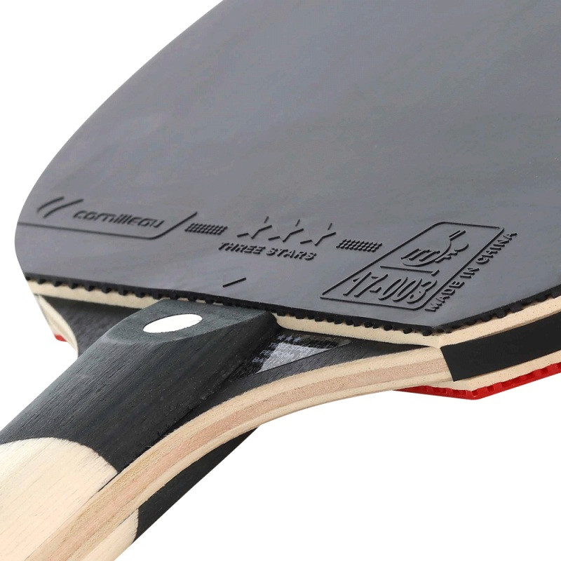 Pálka na stolní tenis Cornilleau Sport 500