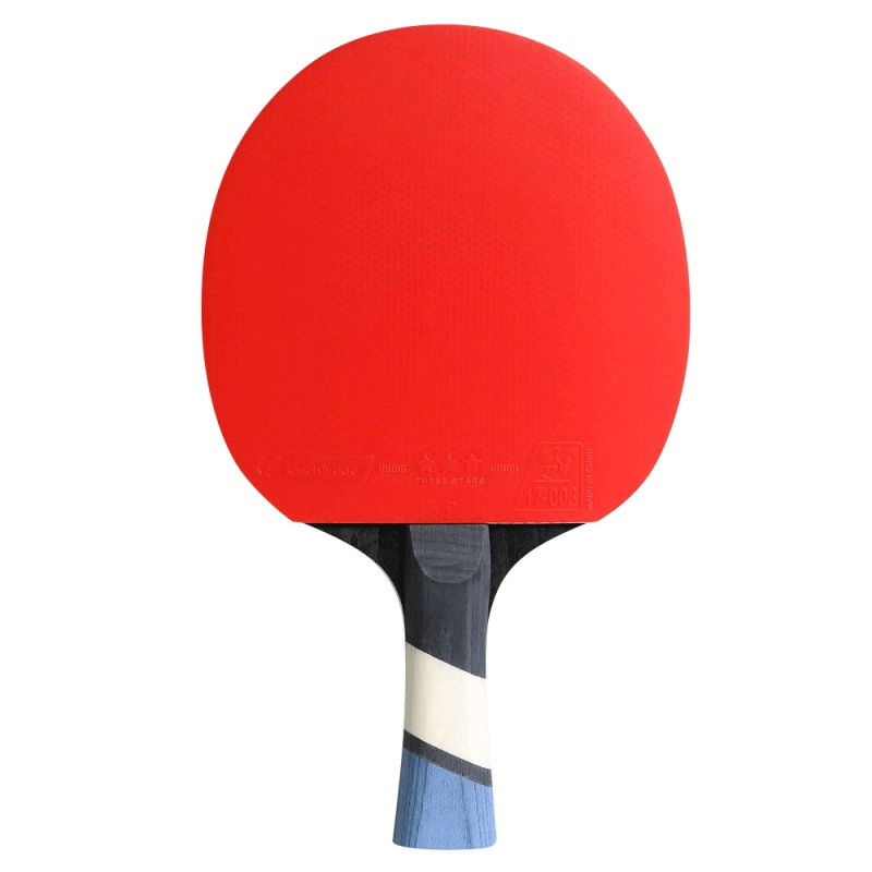 Pálka na stolní tenis Cornilleau Sport 500