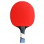 Pálka na stolní tenis Cornilleau Sport 500