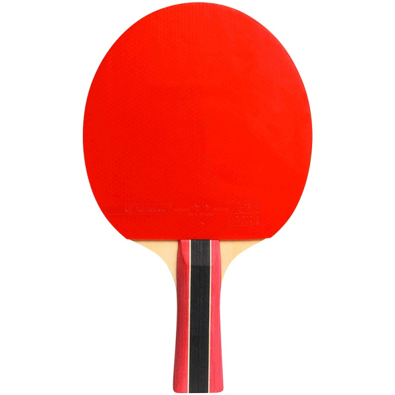 CORNILLEAU; SPORT 300, pálka